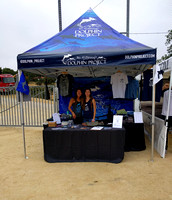 Dolphin Project Community Display