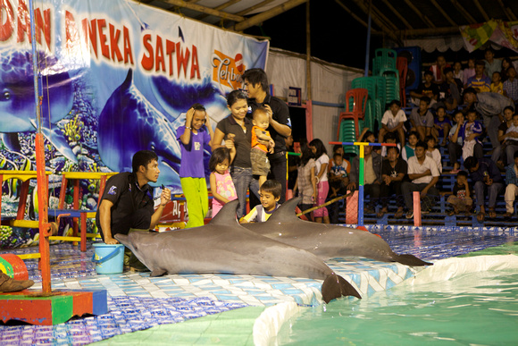 Traveling Dolphin Circus