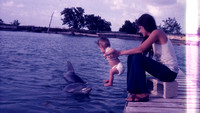World Dolphin Foundation “Dolphin Project” “Ric O’Barry’s Dolphin Project” “Richard O’Barry” “Ric O’Barry” “World Dolphin Foundation” “Lincoln O’Barry"