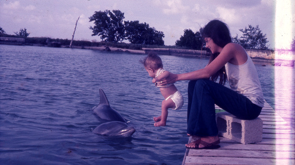 World Dolphin Foundation “Dolphin Project” “Ric O’Barry’s Dolphin Project” “Richard O’Barry” “Ric O’Barry” “World Dolphin Foundation” “Lincoln O’Barry"