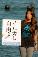 Japan Dolphins Day