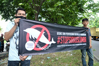 Protest Sidoarjo Dolphin traveling circus