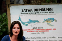 Protests in Jogjakarta against the traveling dolphin show Nov 2016