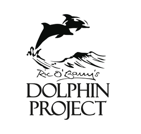 Dolphin Project